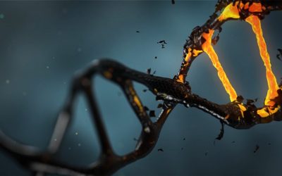 Telómeros: ¿El secreto de la longevidad?